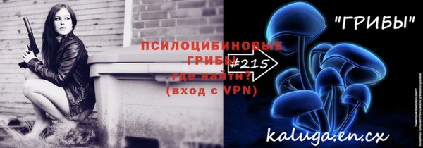 гашик Алексин