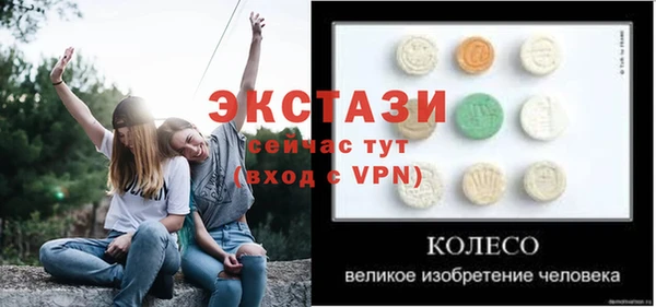 гашик Алексин