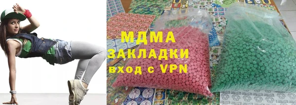 гашик Алексин