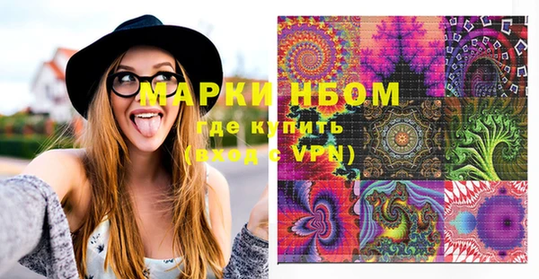 гашик Алексин