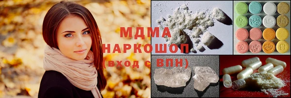 гашик Алексин